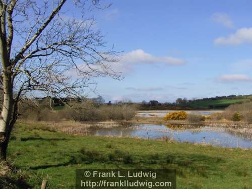 The Bog, County Sligo